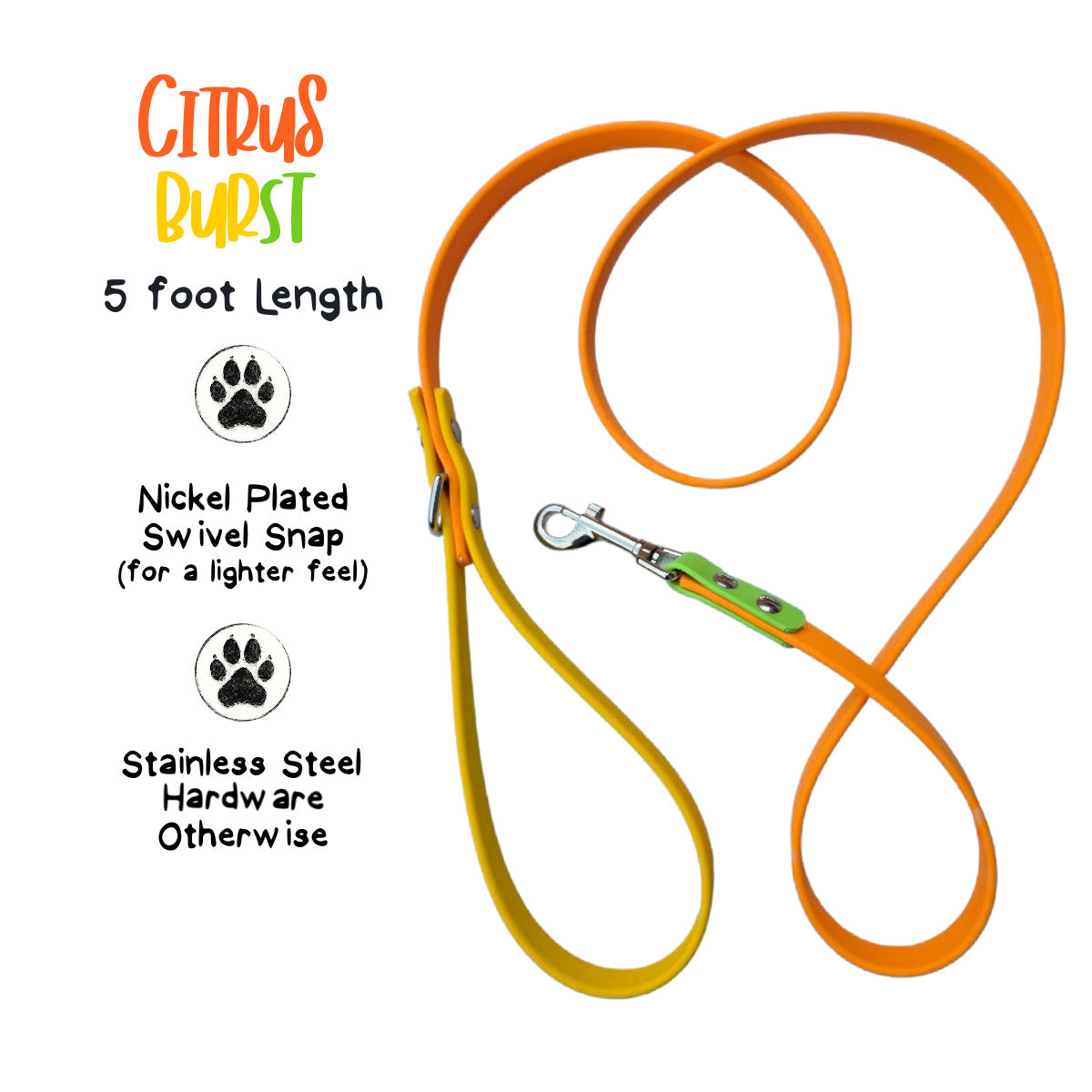Citrus Burst Biothane Dog Leash, 5 ft, Lightweight Nickel Snap