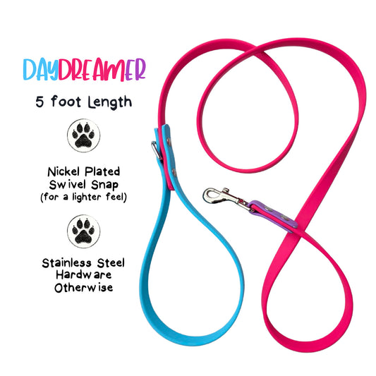 Daydreamer Biothane Dog Leash, 5 ft, Lightweight Nickel Snap