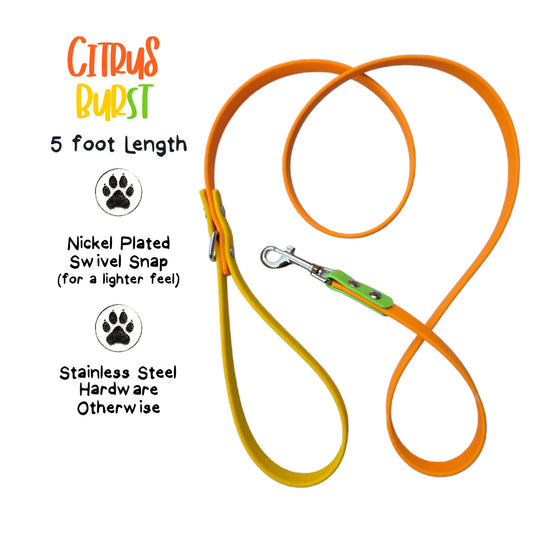 Citrus Burst Biothane Dog Leash, 5 ft, Lightweight Nickel Snap