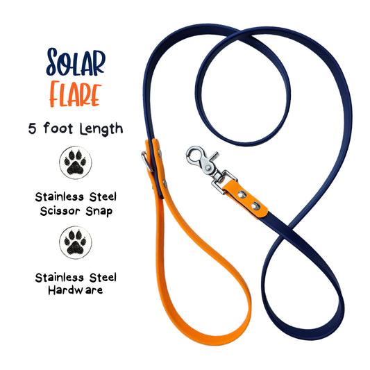 Solar Flare Biothane Dog Leash, 5 ft, Stainless Steel Scissor Snap