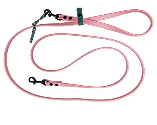 Adjustable Hands-Free Dog Leash