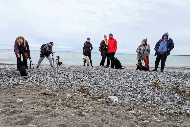 Group Classes Dog Training Whitby, Ajax, Oshawa, Brooklin, Durham Region, Ontario